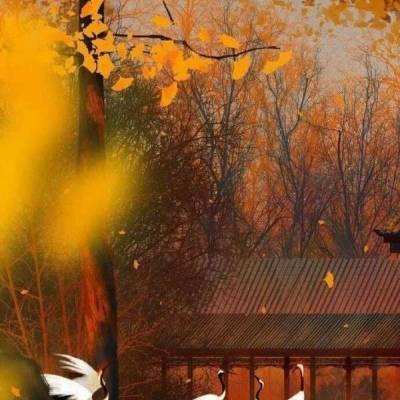 非人学园华为版本下载